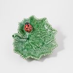 Folha Cinerária com Joaninha