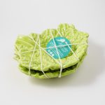 A Alfacinha dos caracóis (duas folhas verdes)