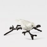 Os canários da Atlântida-branco