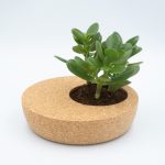Cork Planter
