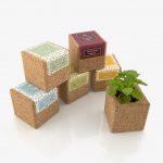 Grow Cube